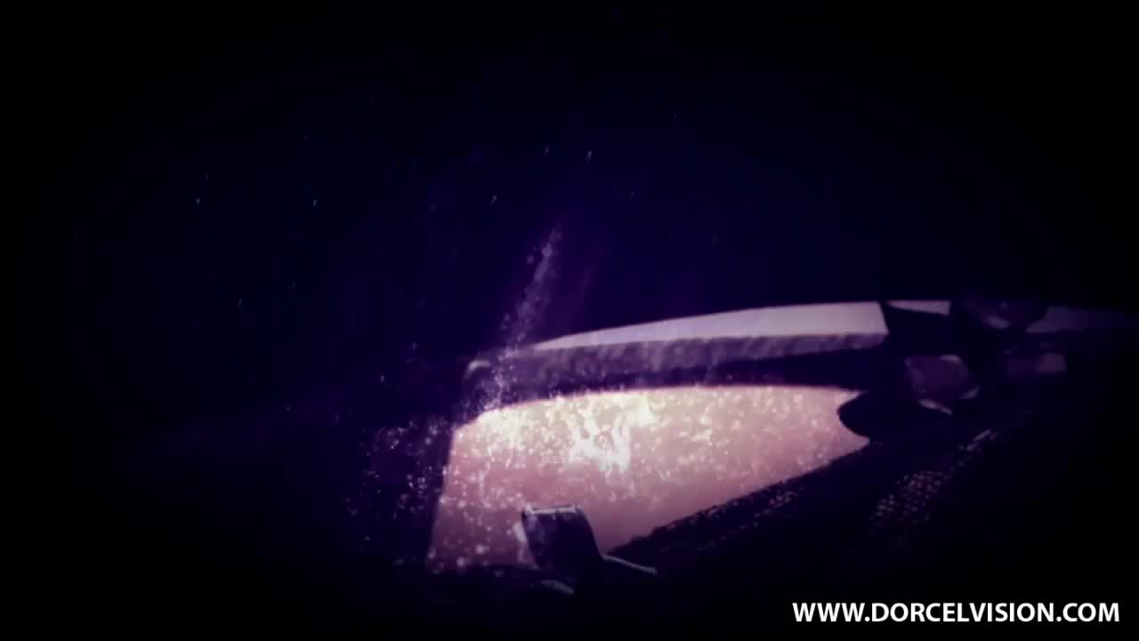 The Lady's maids