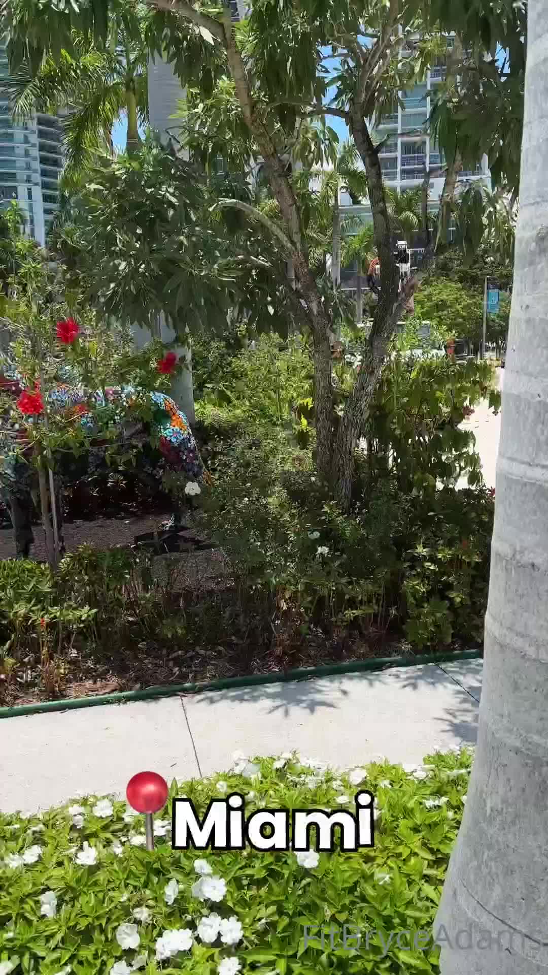 vid_044