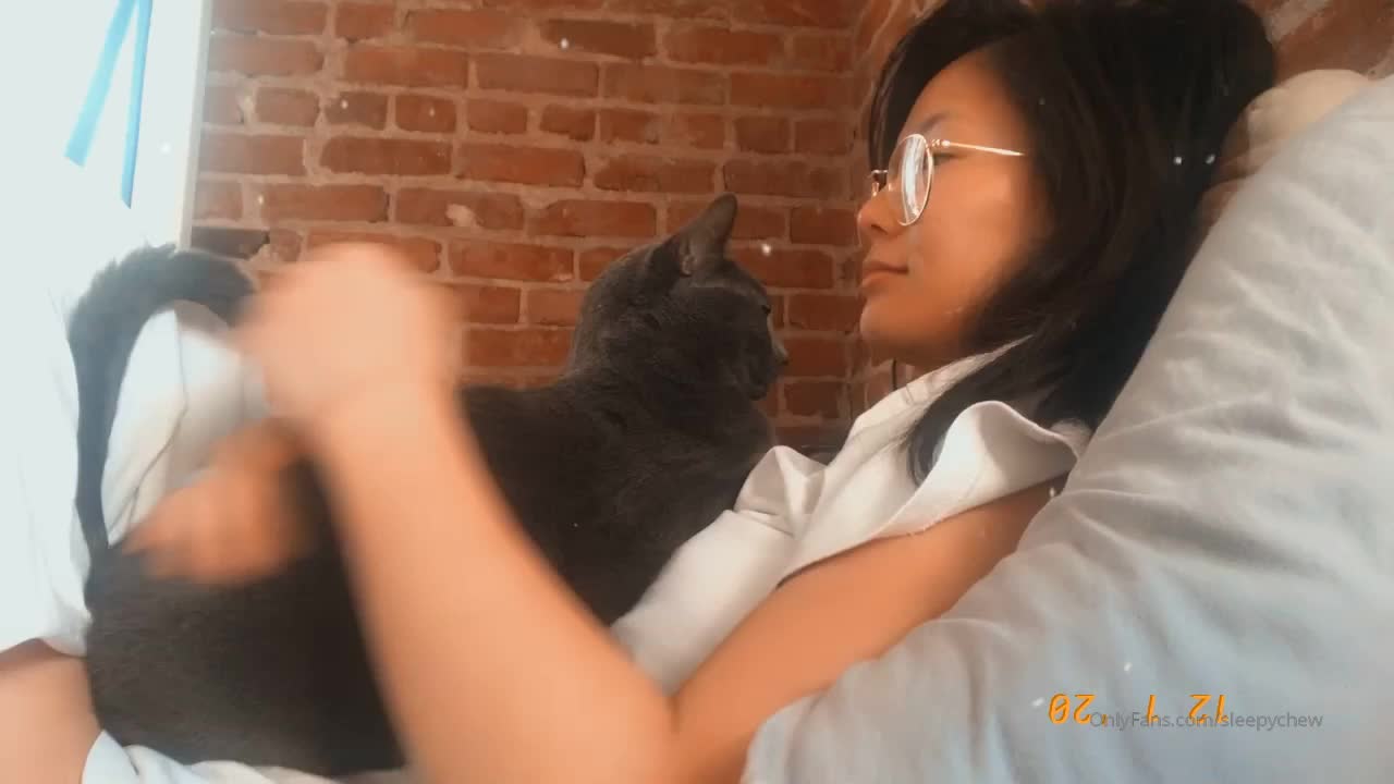 vid_051