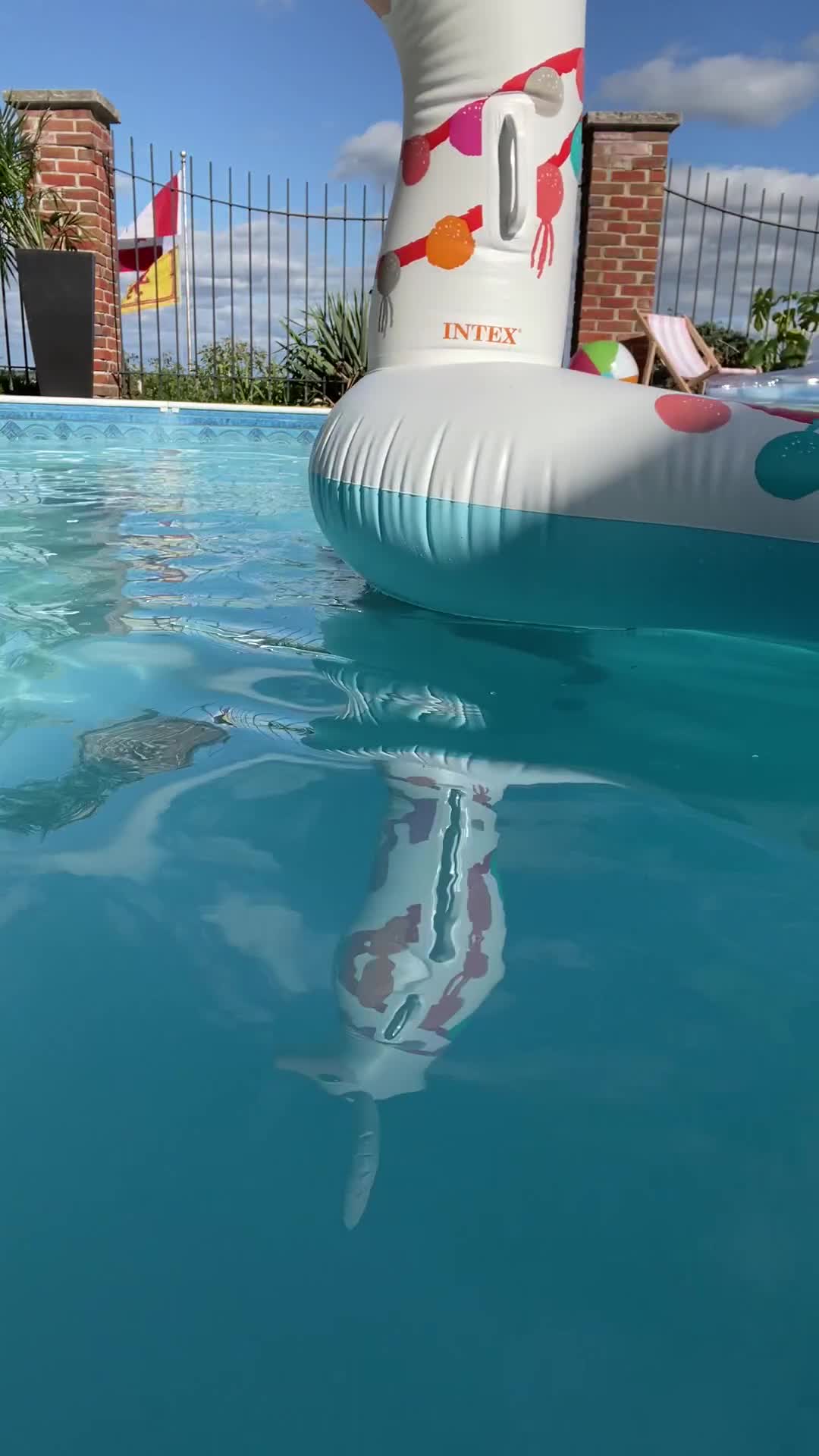 vid_102