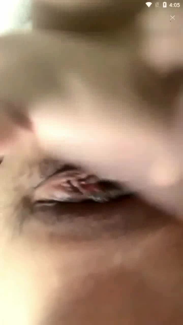 1 (1)