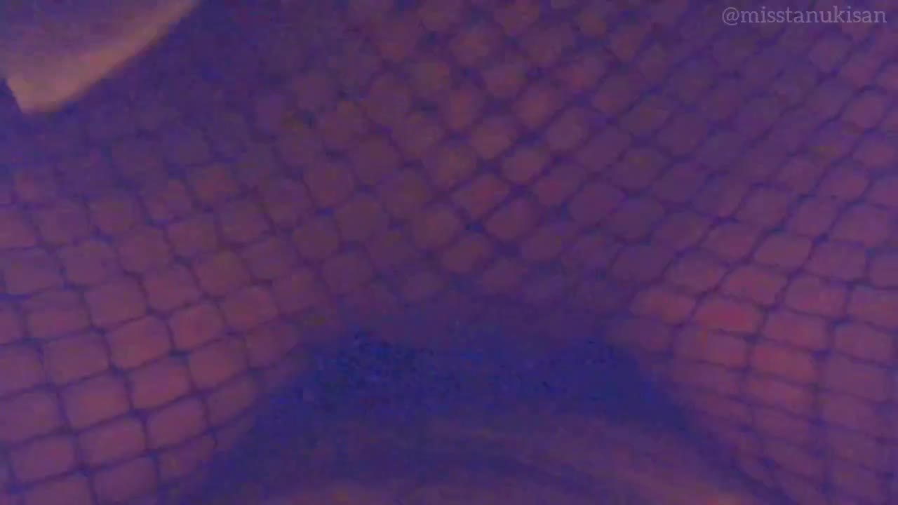 1 (7)