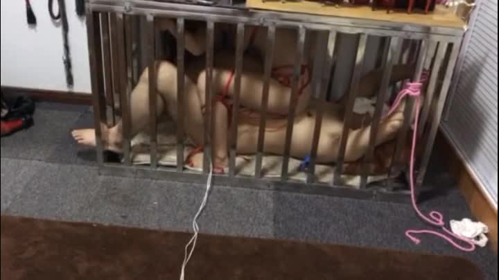 魅色(14)