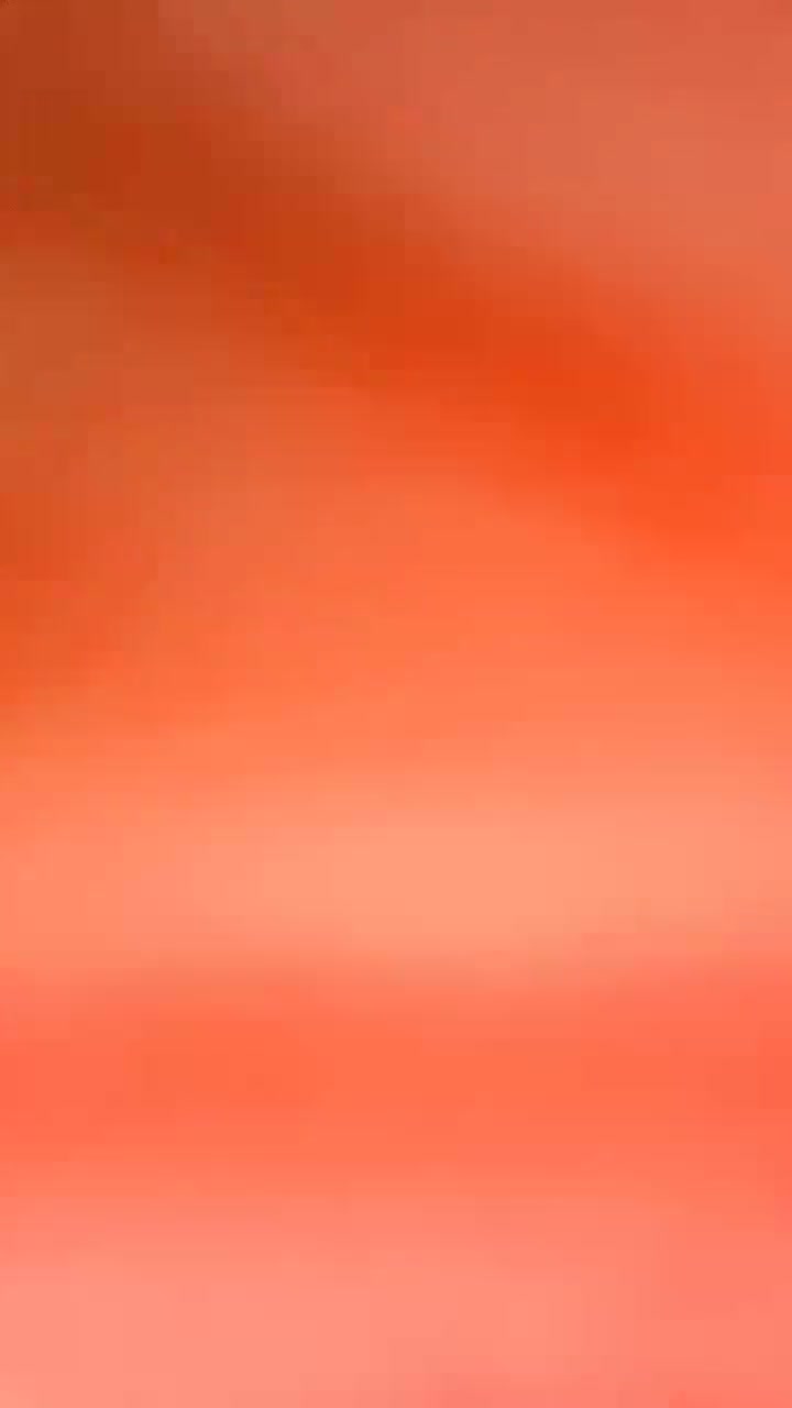 1 (20)