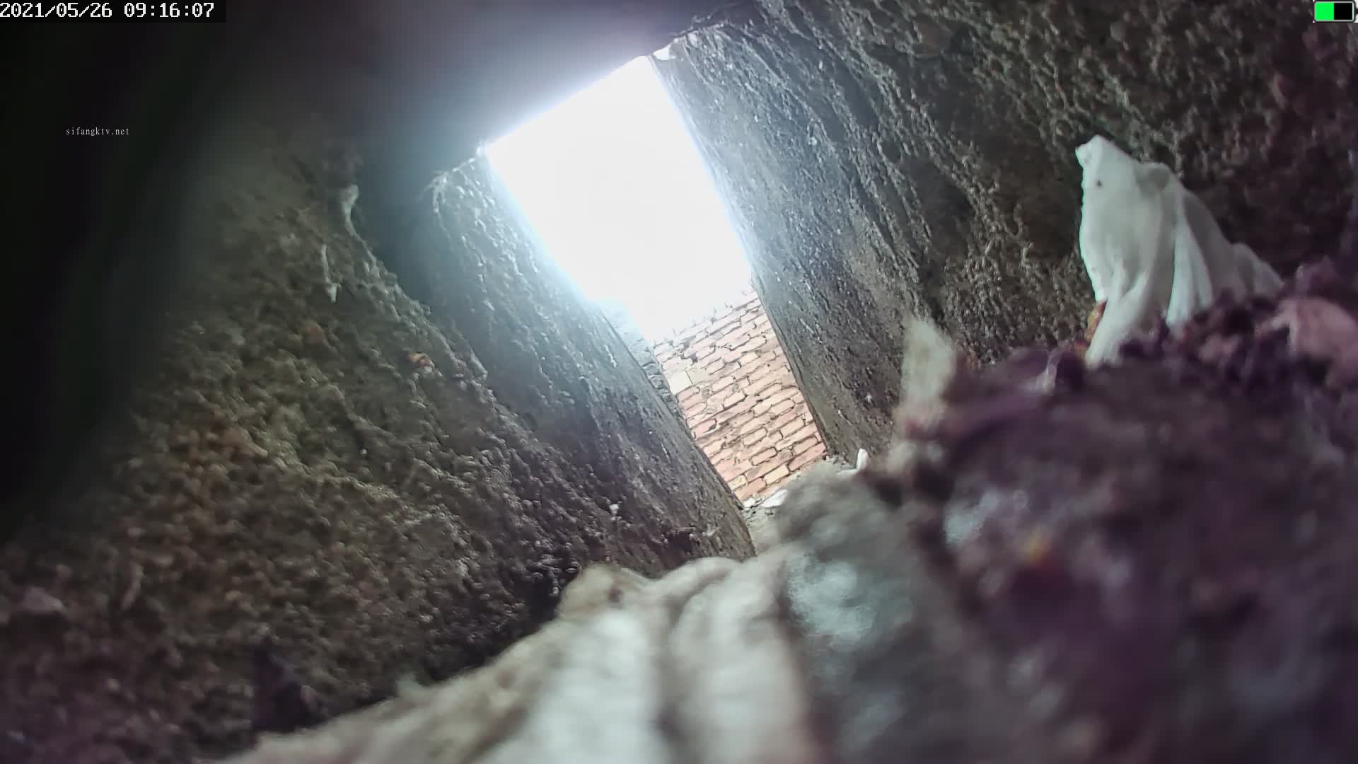 1 (12)