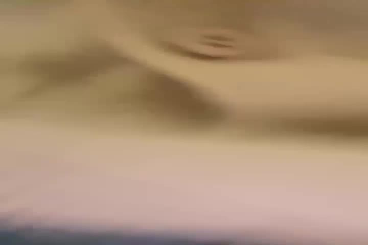 1 (69)