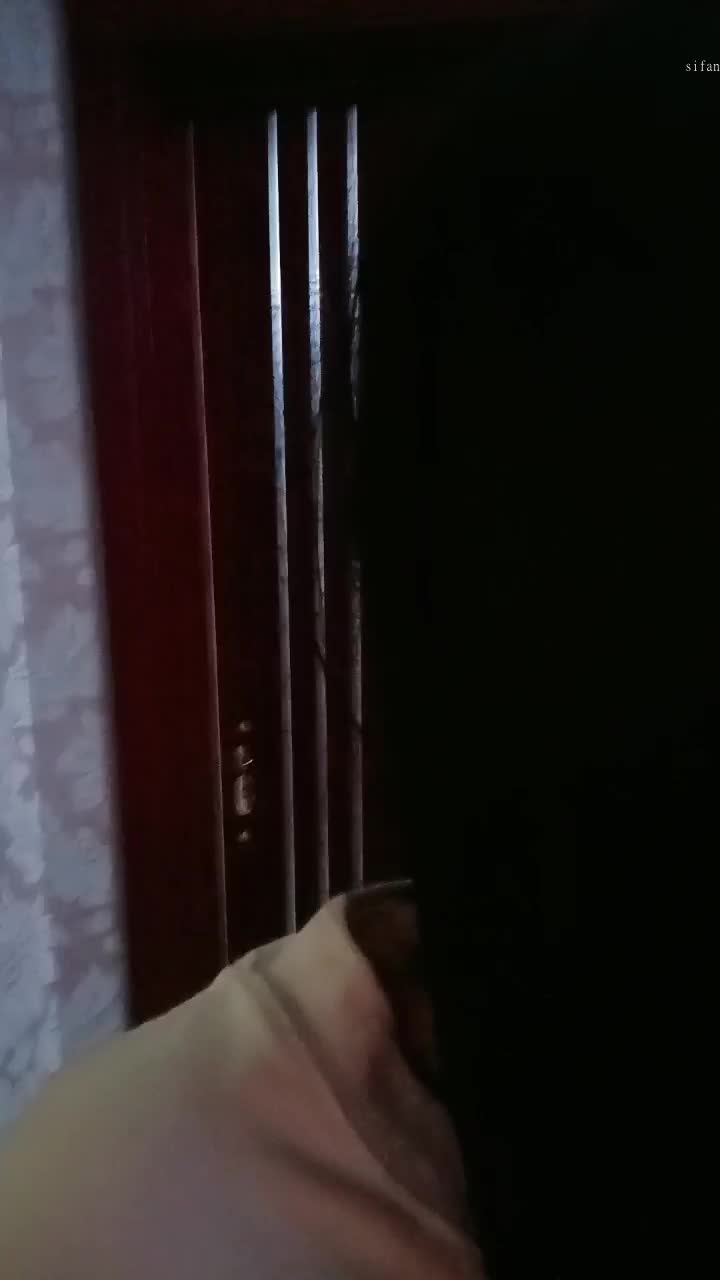   (17)