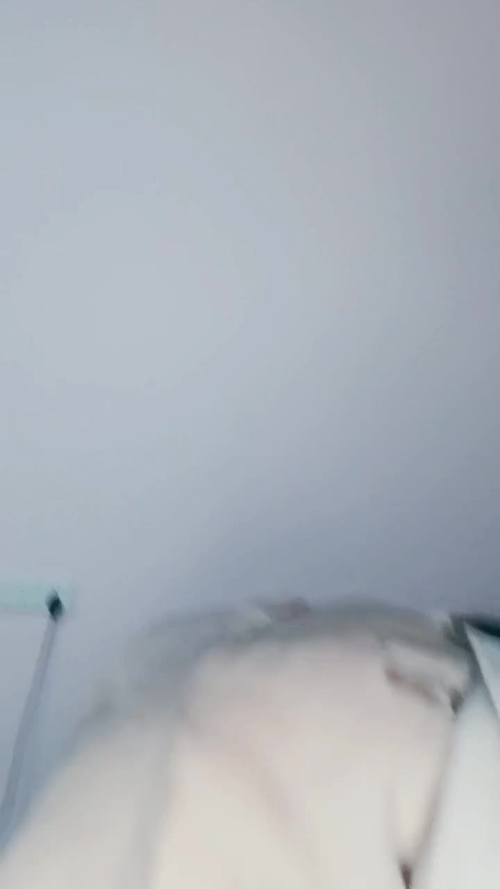 1 (3)
