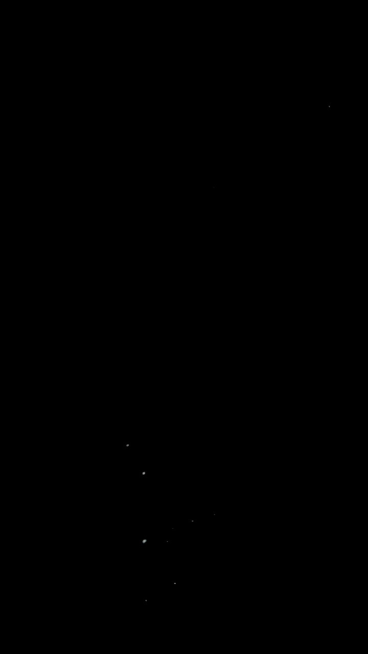 1 (29)