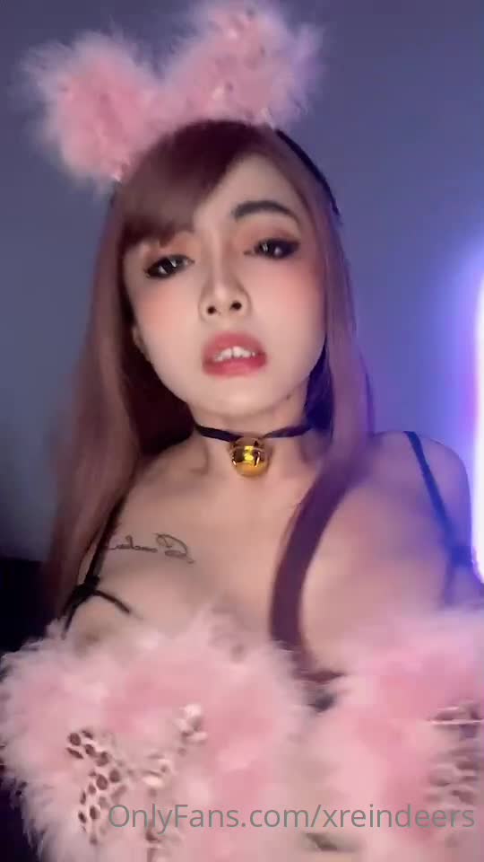  (14)