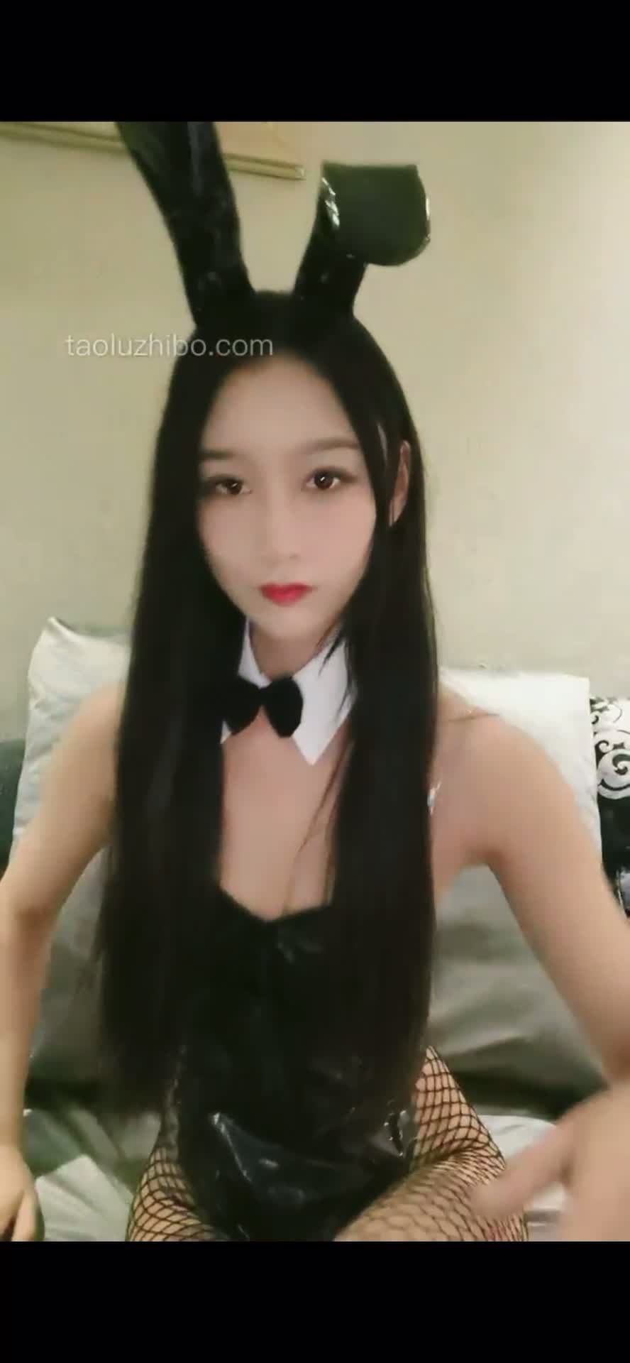 猫神兔女郎