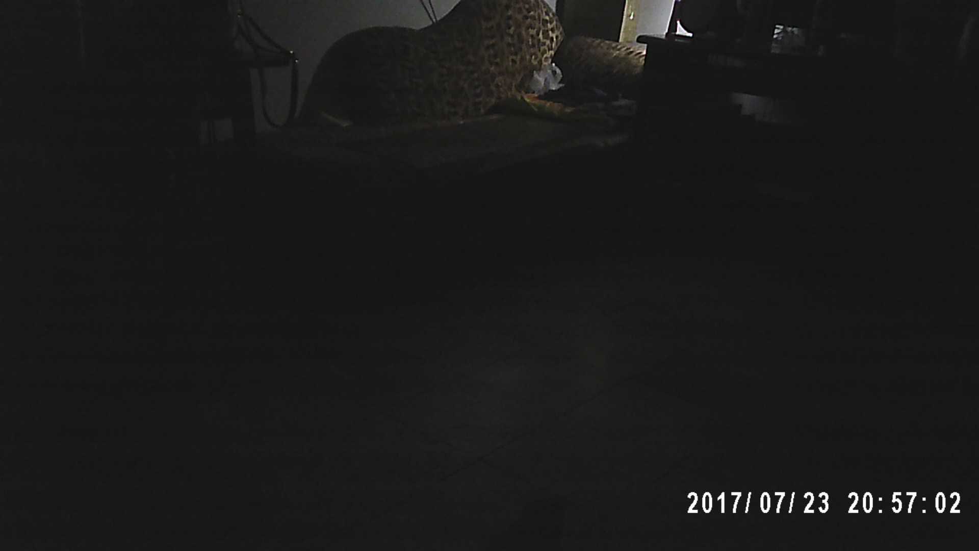 九爷—041