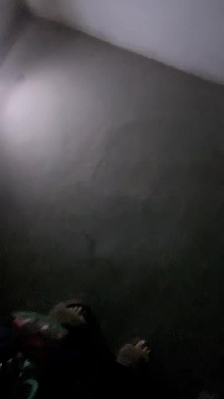  (3)