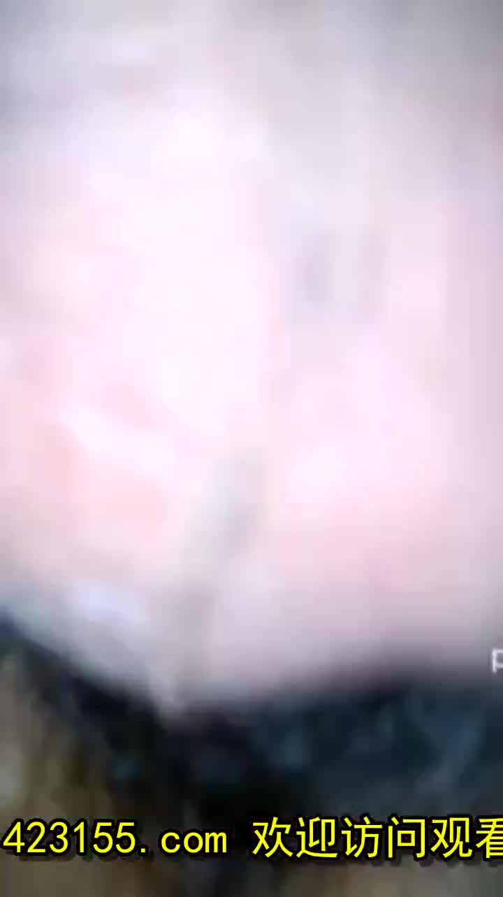  (24)