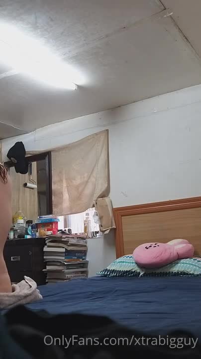 31088