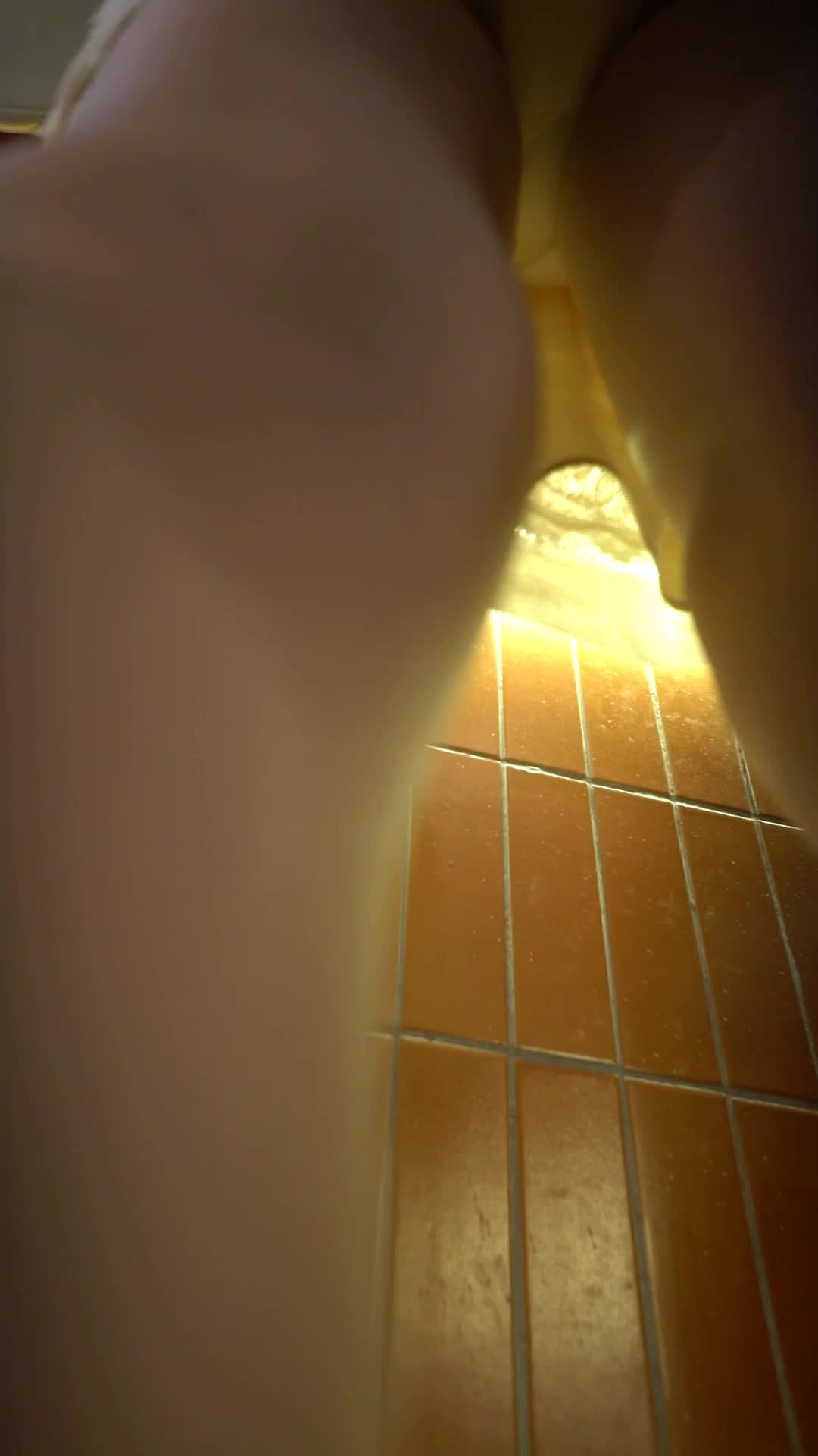 yc449