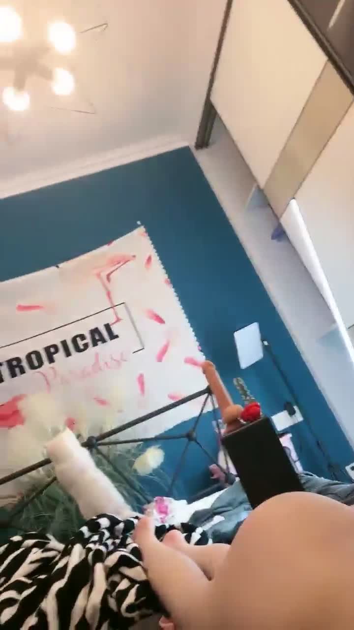  (84)