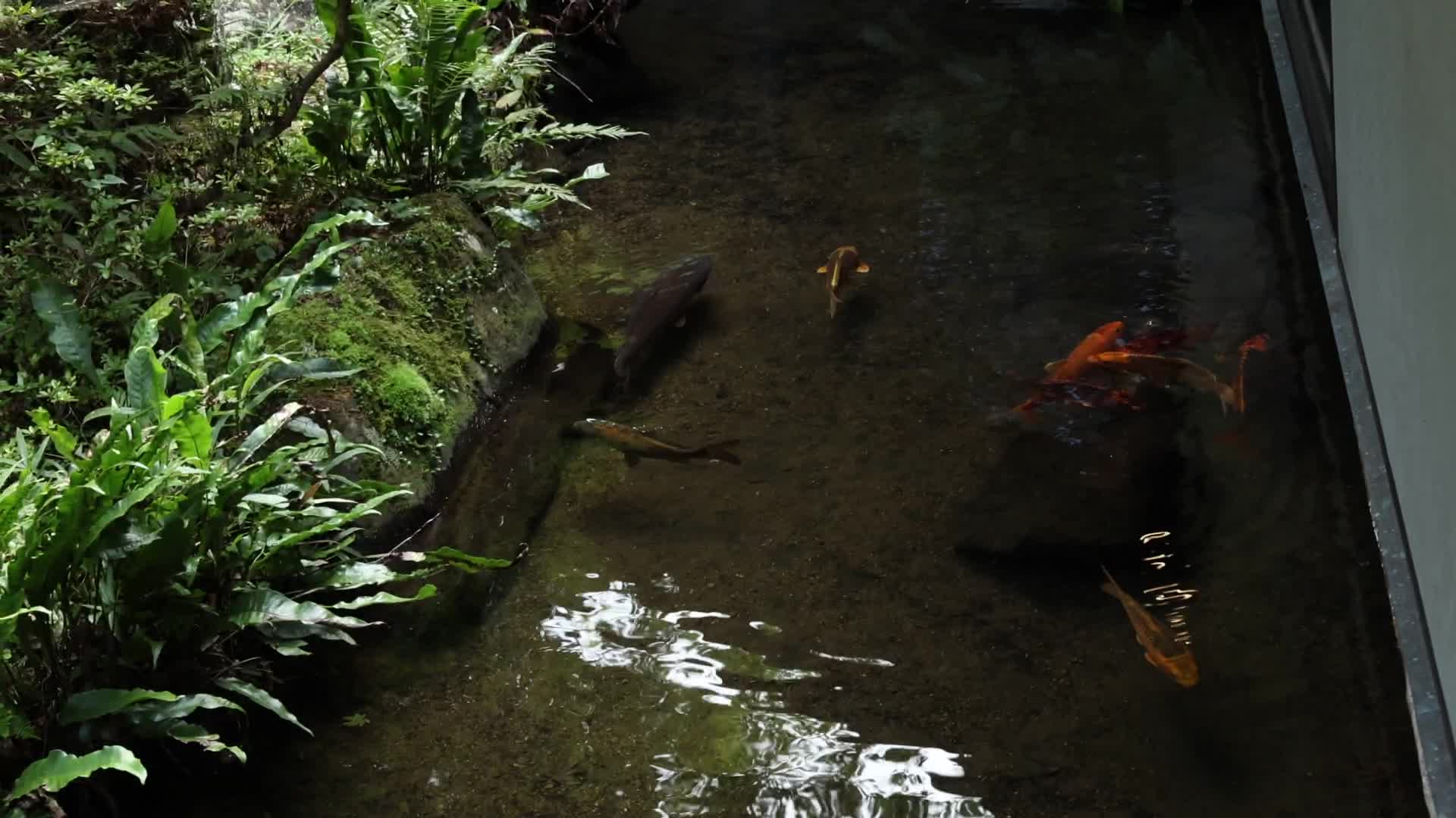 MBR-BN032.1080p