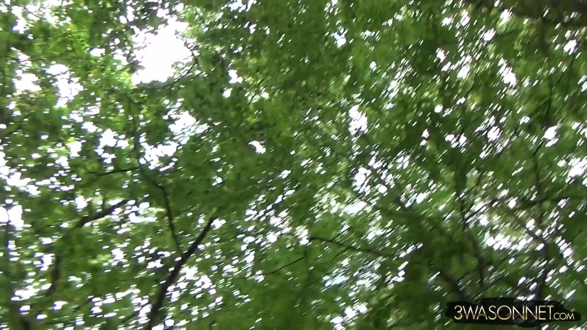 2048.hk@2017-08-29EROTICFORESTFANTASIES