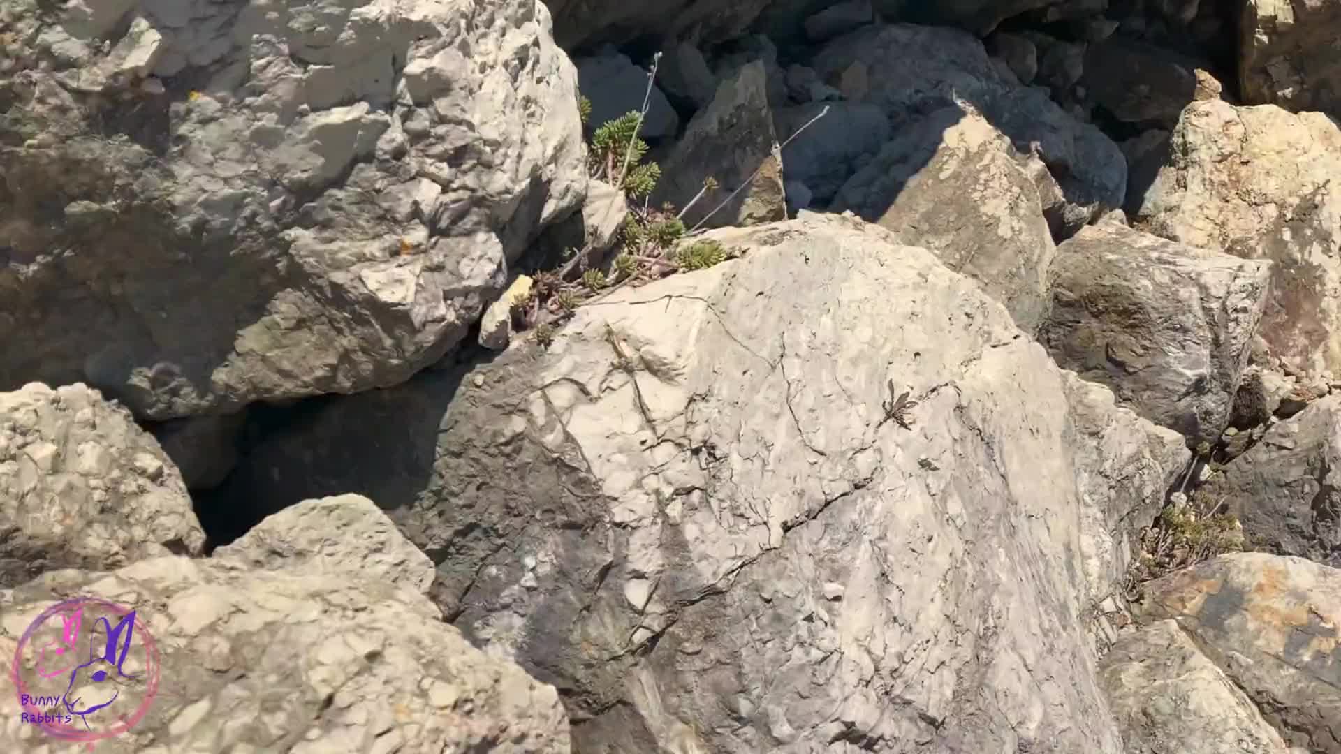 2048.hk@Seduced by the Elastic Ass while Hiking - Bunny Rabbits_BunnyRabbits_1080p